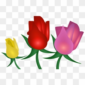 Rose Flowers Floral - Portable Network Graphics, HD Png Download - rose flowers png images