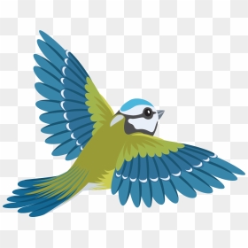 Flying Colourful Birds Png, Transparent Png - flying birds images png