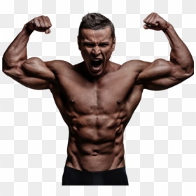 Des Muscles, HD Png Download - body building png