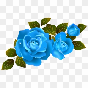 Mq Blue Roses Rose Flower Flowers - Clipart Roses Transparent Background, HD Png Download - rose flowers png images