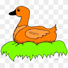 Duck In Its Nest Clipart, HD Png Download - orange png image