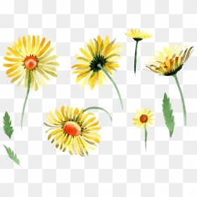Portable Network Graphics, HD Png Download - flower images hd png