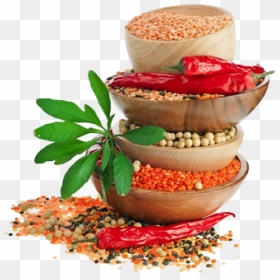 Fast Food, HD Png Download - indian food png images