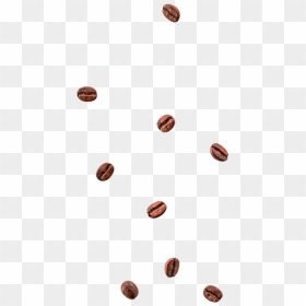 Cafe - Chocolate, HD Png Download - coffee seeds png