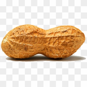 Peanut Png Images Free - Transparent Peanut Png, Png Download - groundnuts png