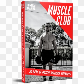 Muscle Club Ebook V1 - Flyer, HD Png Download - body building png