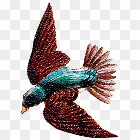 Vintage Flying Bird Illustration, HD Png Download - flying bird clipart png