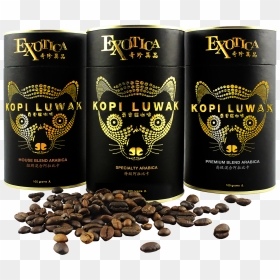 Specialty/premium Blend/house Blend - Kopi Luwak Coffee Transparent, HD Png Download - coffee seeds png