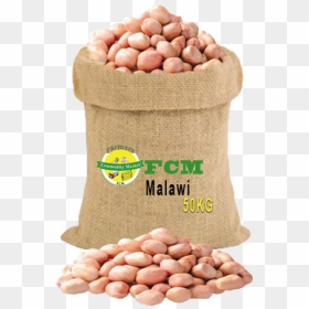 Peanut, HD Png Download - groundnuts png