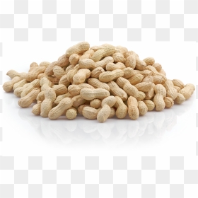 Peanuts In Shell Best Quality - Peanut, HD Png Download - groundnuts png