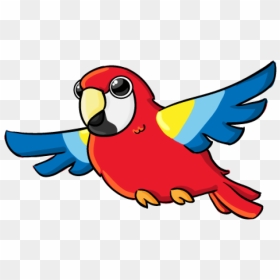 Flying Parrot Clipart - Transparent Background Parrot Clip Art, HD Png Download - flying bird clipart png