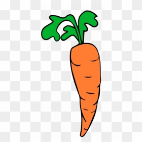 Carrot Pictures Free Clipart Vector Freeuse Carrot - Free Clip Art Carrot, HD Png Download - carrot vegetable png