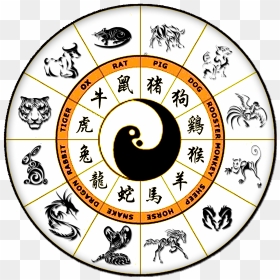 Comics & Cartoons » Searching For Posts With The Image - Chinese Zodiac Signs January, HD Png Download - calendar images png