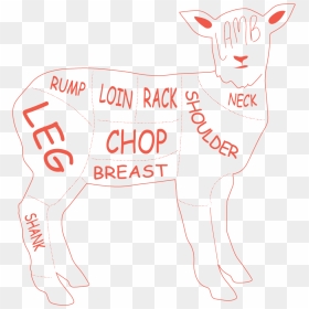 Lamb Loin Roast/saddle - Partition, HD Png Download - loin png