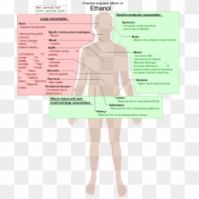 Possible Long-term Effects Of Ethanol, HD Png Download - love png effects