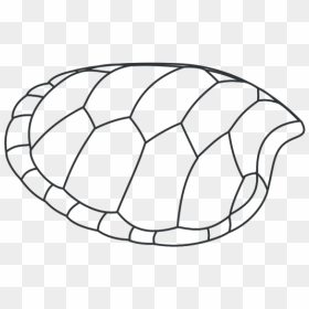 Turtle Shell Outline Png Icons - Draw A Turtle Shell, Transparent Png - turtle shell png