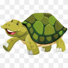 Turtle Shell Stock Photography Illustration - Cartoon Green Turtle ...