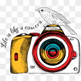 Png Dslr Camera - Dslr Vector Png, Transparent Png - camera lens png clipart