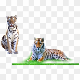Photoshop Background Hd Png, Transparent Png - photoshop background hd png