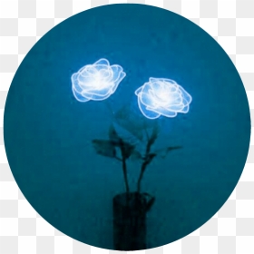 #freetoedit #flower #blue #lightblue #art #collage - Aesthetic Purple, HD Png Download - light blue background png