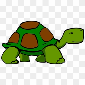 Animated Turtle, HD Png Download - turtle shell png