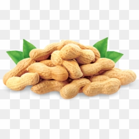 Groundnut Raw-uzhavu 500gm - Cold Pressed Oil, HD Png Download - groundnuts png
