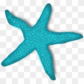 Sea Star Clipart Turquoise Vector Free Stock 28 Collection - Sea Star Png Clipart, Transparent Png - sea vector png