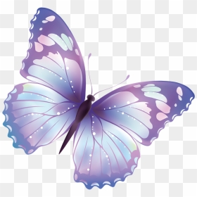 Png Pictures For - Transparent Background Butterfly Clipart, Png Download - photoshop background hd png