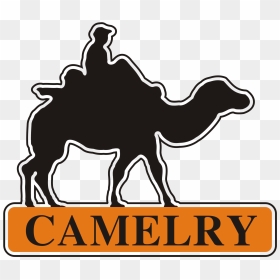 Picture Royalty Free Library Camel Vector Abstract - World Cancer Day Free, HD Png Download - camel vector png