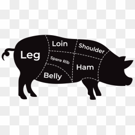 Illustration, HD Png Download - loin png
