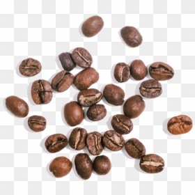 Chocolate, HD Png Download - coffee seeds png