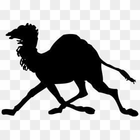 Camel Clip Art, HD Png Download - camel vector png