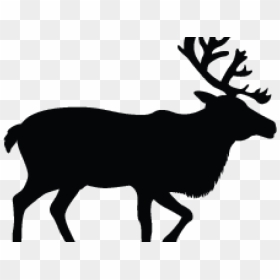 Caribou Clipart Silhouette - Yukon Social Distancing Caribou, HD Png Download - caribou png