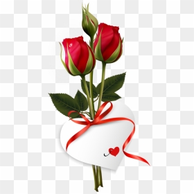 Good Morning Wishes Quotes - Good Morning With Rose, HD Png Download - good morning png images