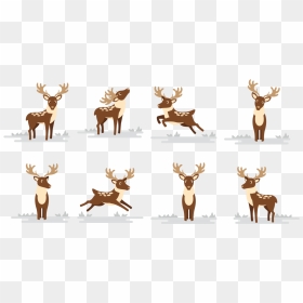 Deer Caribou Cartoon Vector, HD Png Download - caribou png