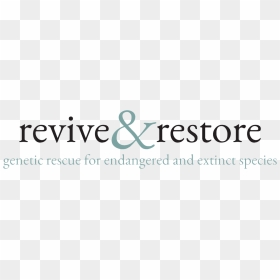 About Revive & Restore , Png Download - University Of Connecticut, Transparent Png - revive png