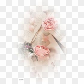 Thumb Image - Retro Style Rose Pink Aesthetic, HD Png Download - tubes png