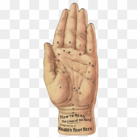 Hand Clipart Vintage - Hand Palm Vintage Illustration, HD Png Download - vintage pointing hand png