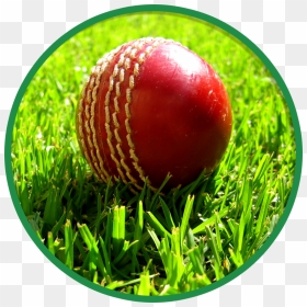 Cricket Ball South Africa, HD Png Download - cricket pitch png