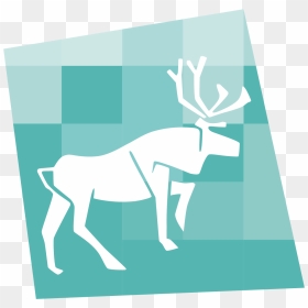 Download, HD Png Download - caribou png