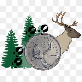 Caribou Banner Blog Aug 28, HD Png Download - caribou png