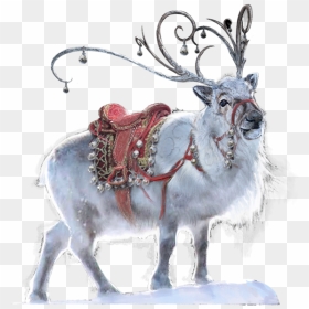 Reindeer, HD Png Download - caribou png