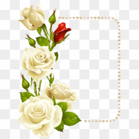 Flower Garden Borders Clipart Graphic Free Stock 22 - White Roses Border Frame, HD Png Download - garden background png