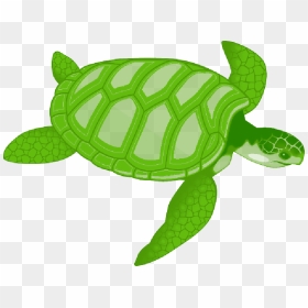 Sea Turtle Clip Art , Png Download - Sea Turtle Clipart Png, Transparent Png - turtle shell png