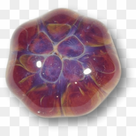 Opal, HD Png Download - turtle shell png
