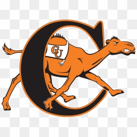 Campbell University Athletics Logo, HD Png Download - camel vector png