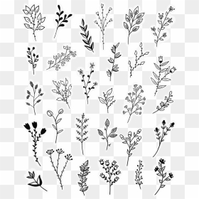 Black And White Flower Doodles, HD Png Download - simple flourishes png