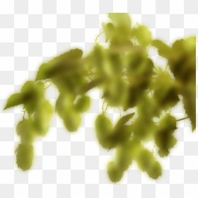 Watsapp Png, Transparent Png - watsapp png