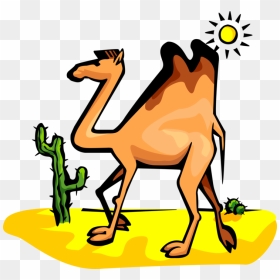Vector Illustration Of Beast Of Burden Camel Dromedary - Camel Clipart, HD Png Download - camel vector png