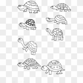 Dibujos De Tortugas Chiquitas, HD Png Download - turtle shell png
